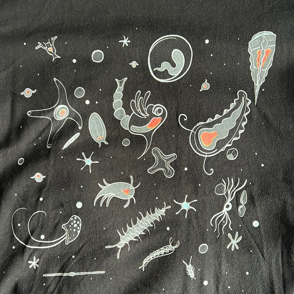 “Secrets of the DEEP” Deep Ocean Micro Organisms